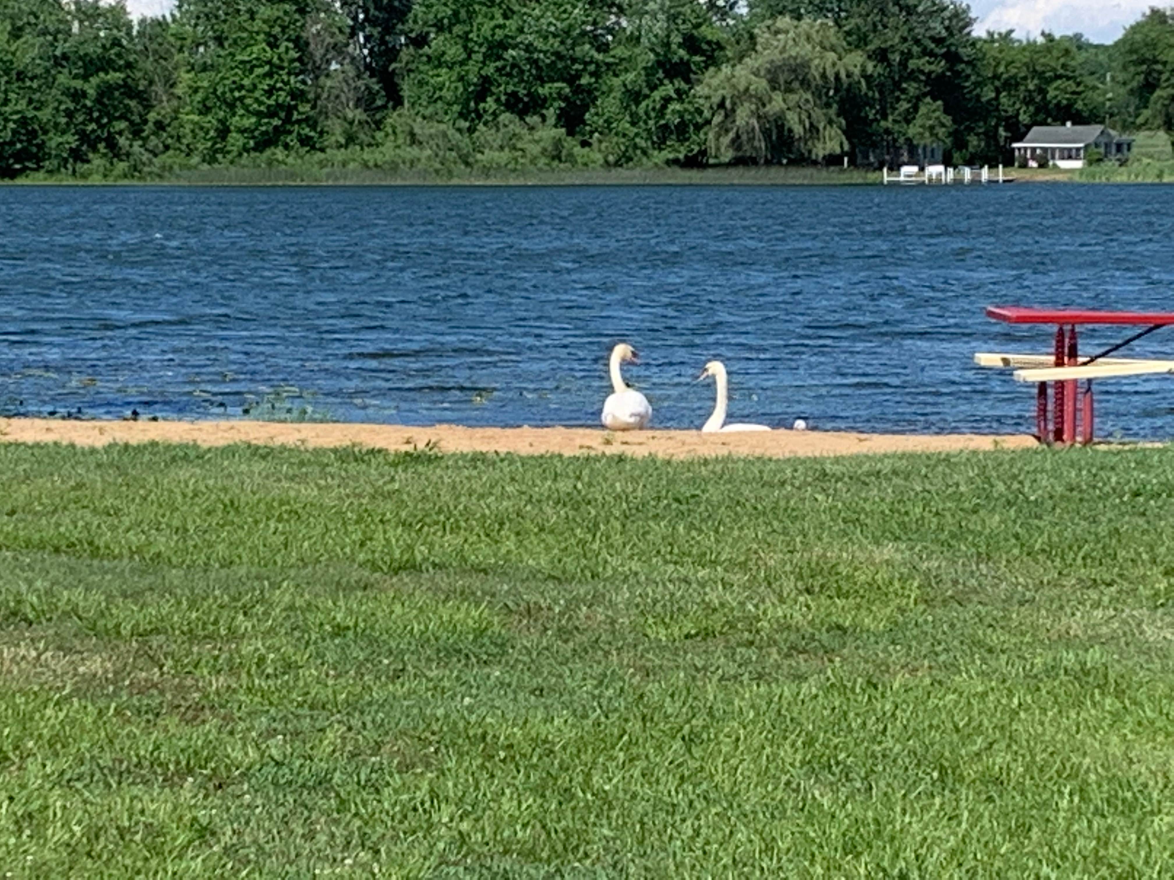Hoffman Lake Campground INC. The Dyrt
