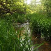 Review photo of Upper Tonto Creek — Tonto National Forest by Shannon D., June 9, 2018