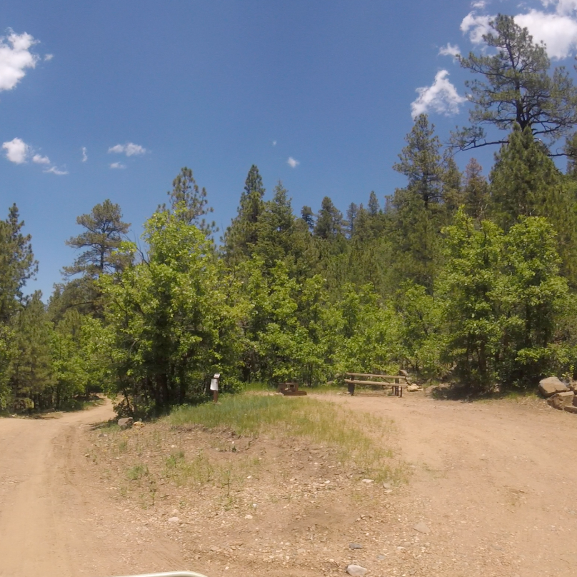 Coyote Creek | The Dyrt