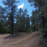 Review photo of Coyote Creek State Park Campground by Butch K., June 15, 2021