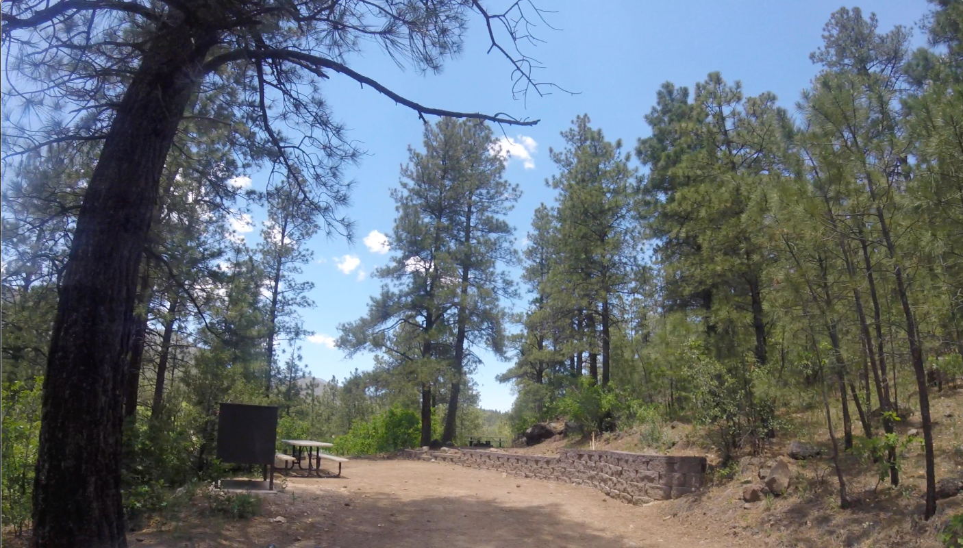 Camper submitted image from Coyote Creek State Park Campground - 3