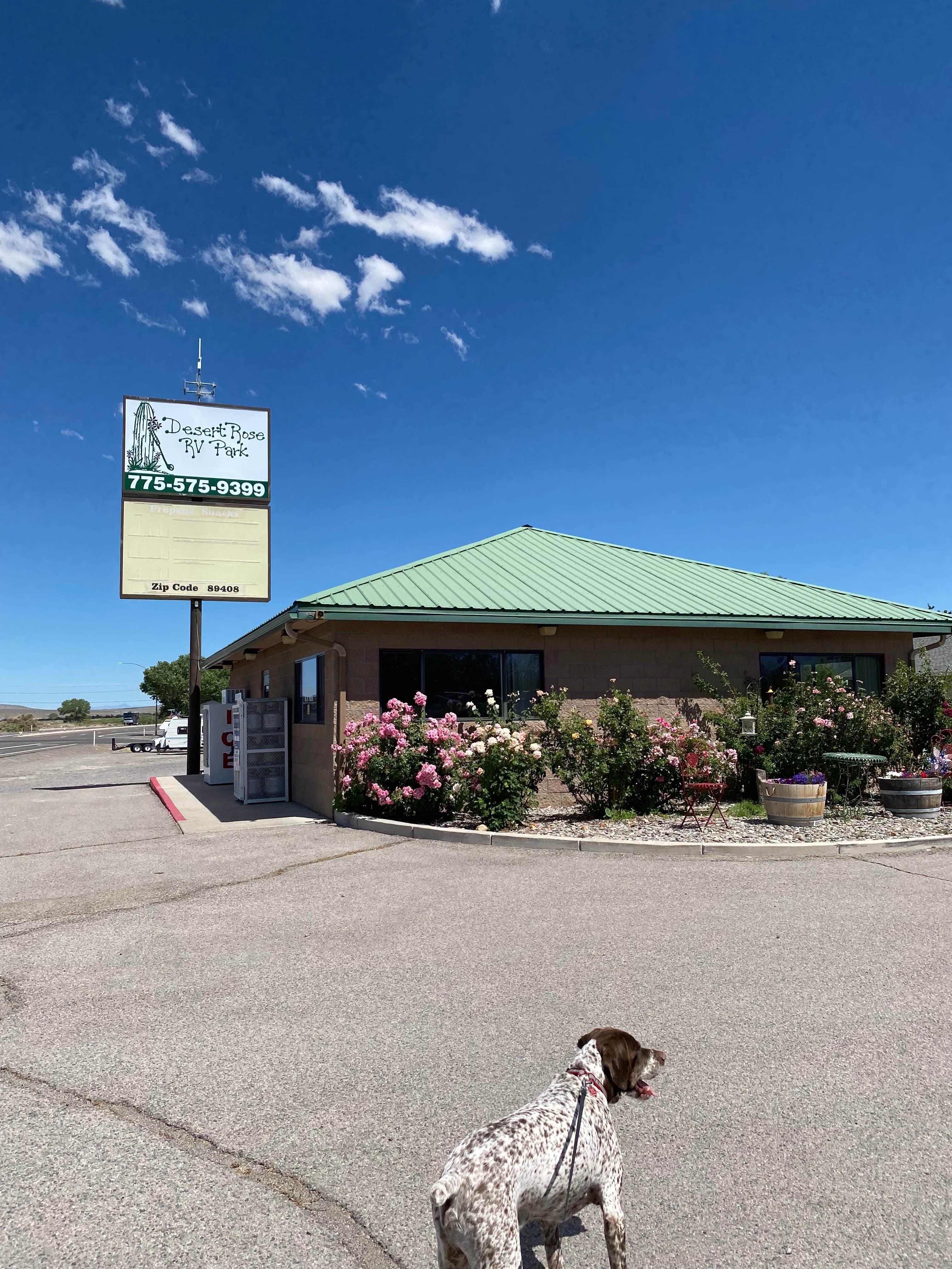 Camper-submitted photo at Desert Rose RV Park near Fallon, NV