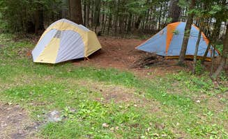 D G.'s photo at Ossineke State Forest Campground near Hubbard Lake, MI