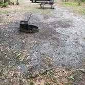 Review photo of Allaire State Park - TEMPORARILY CLOSED by Dwight D., June 15, 2021