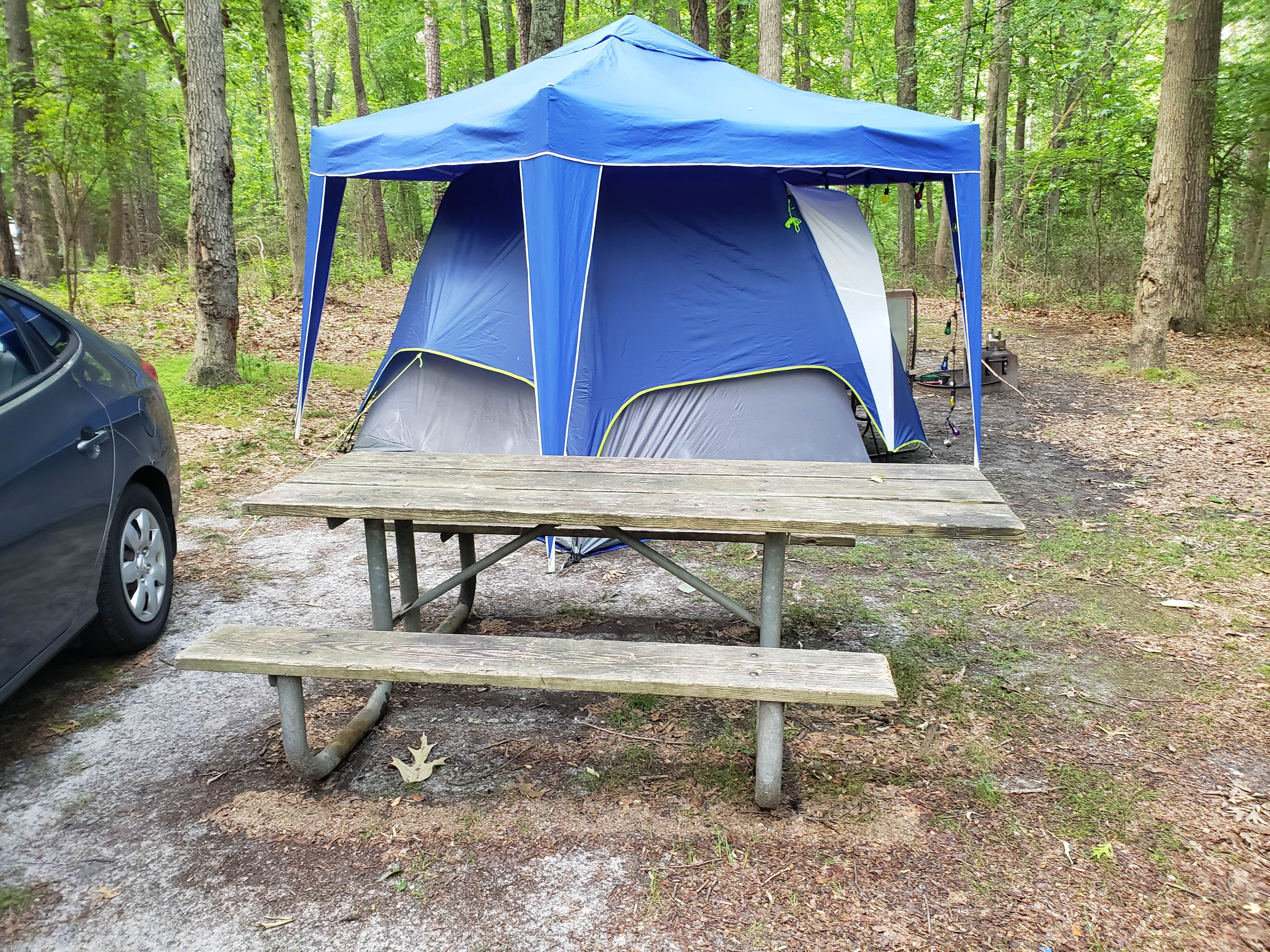 Dwight D.'s photo at Allaire State Park - TEMPORARILY CLOSED near New Egypt, NJ