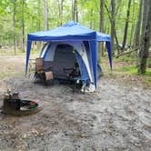 Review photo of Allaire State Park - TEMPORARILY CLOSED by Dwight D., June 15, 2021