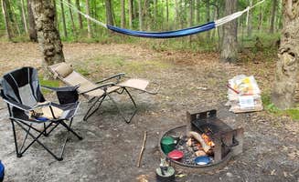 Dwight D.'s photo at Allaire State Park - TEMPORARILY CLOSED near Avenel, NJ