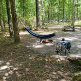 Review photo of Allaire State Park - TEMPORARILY CLOSED by Dwight D., June 15, 2021