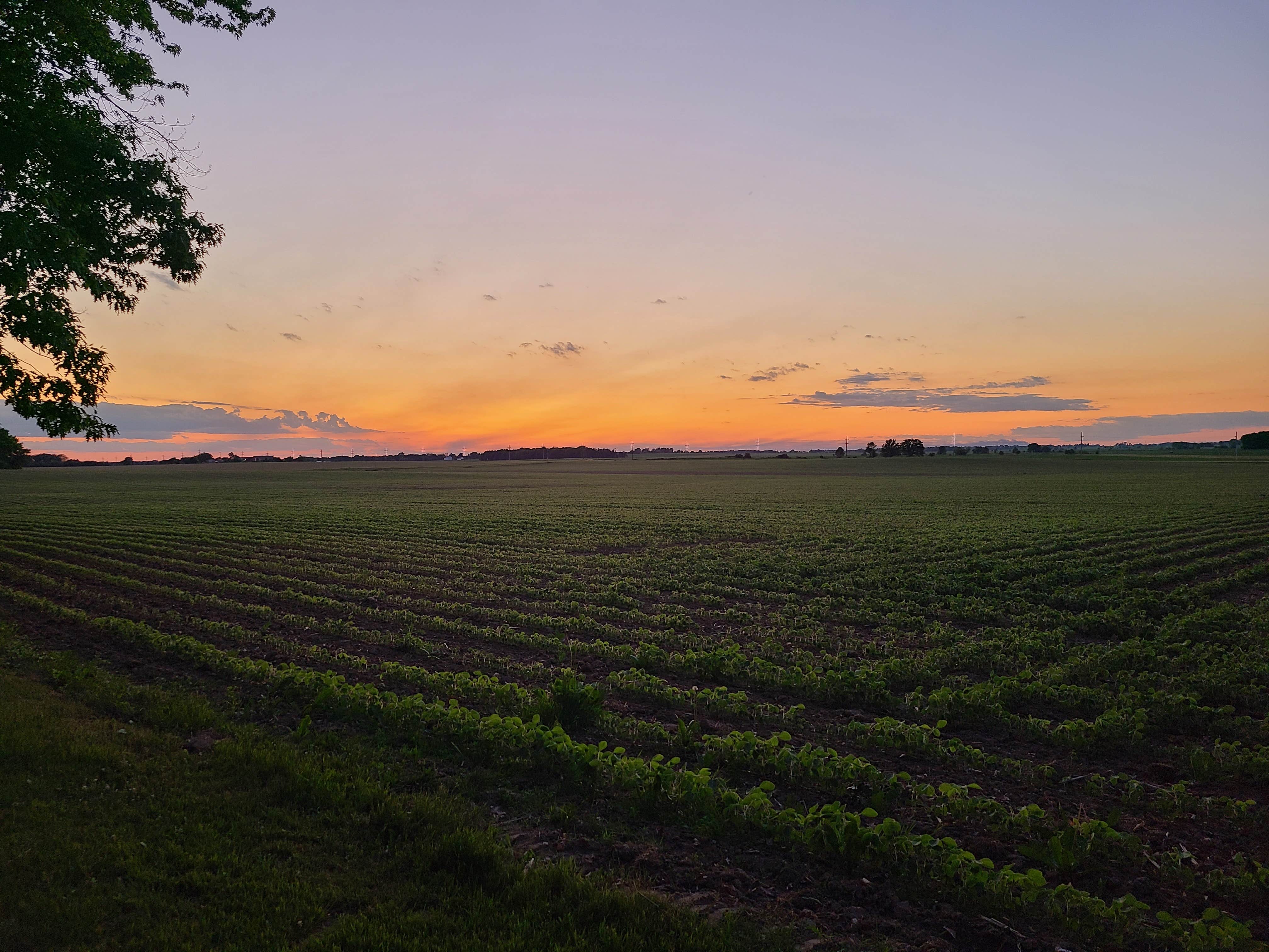 Camper submitted image from MacQueen Forest Preserve - 1