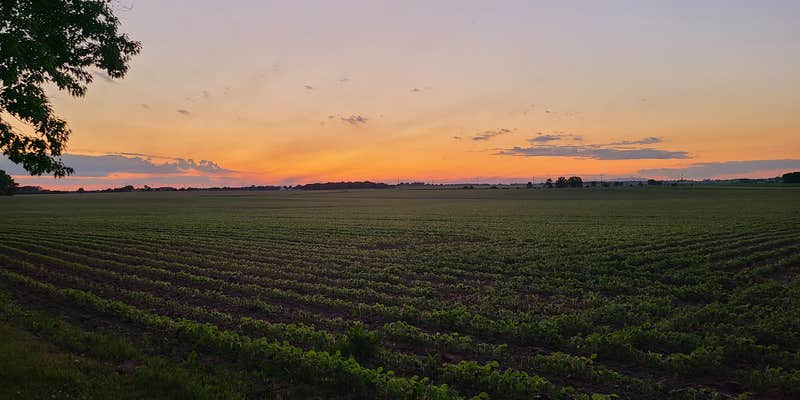 Camper submitted image from MacQueen Forest Preserve