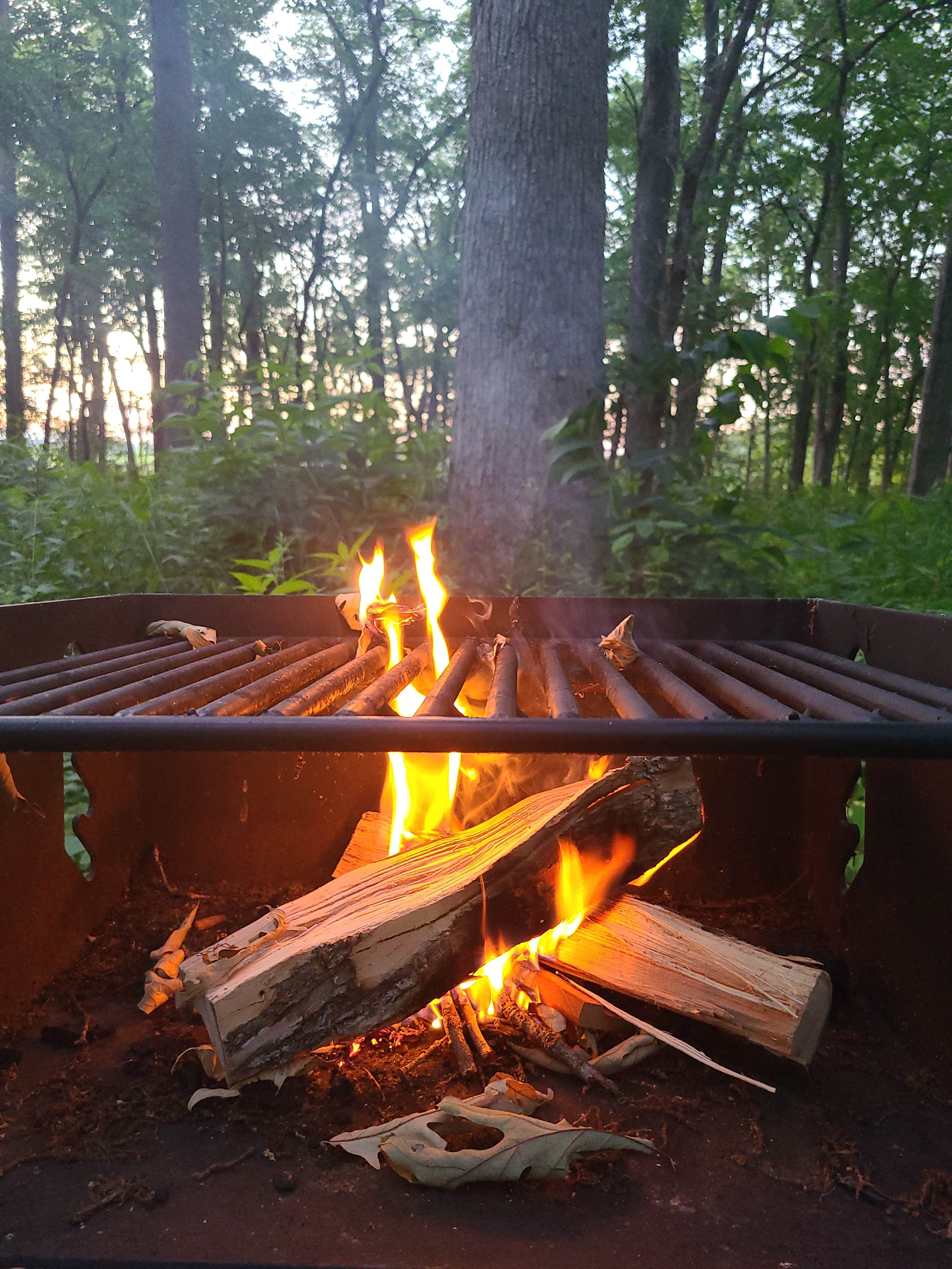 Camper submitted image from MacQueen Forest Preserve - 3