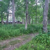 Review photo of MacQueen Forest Preserve by Amy G., June 15, 2021