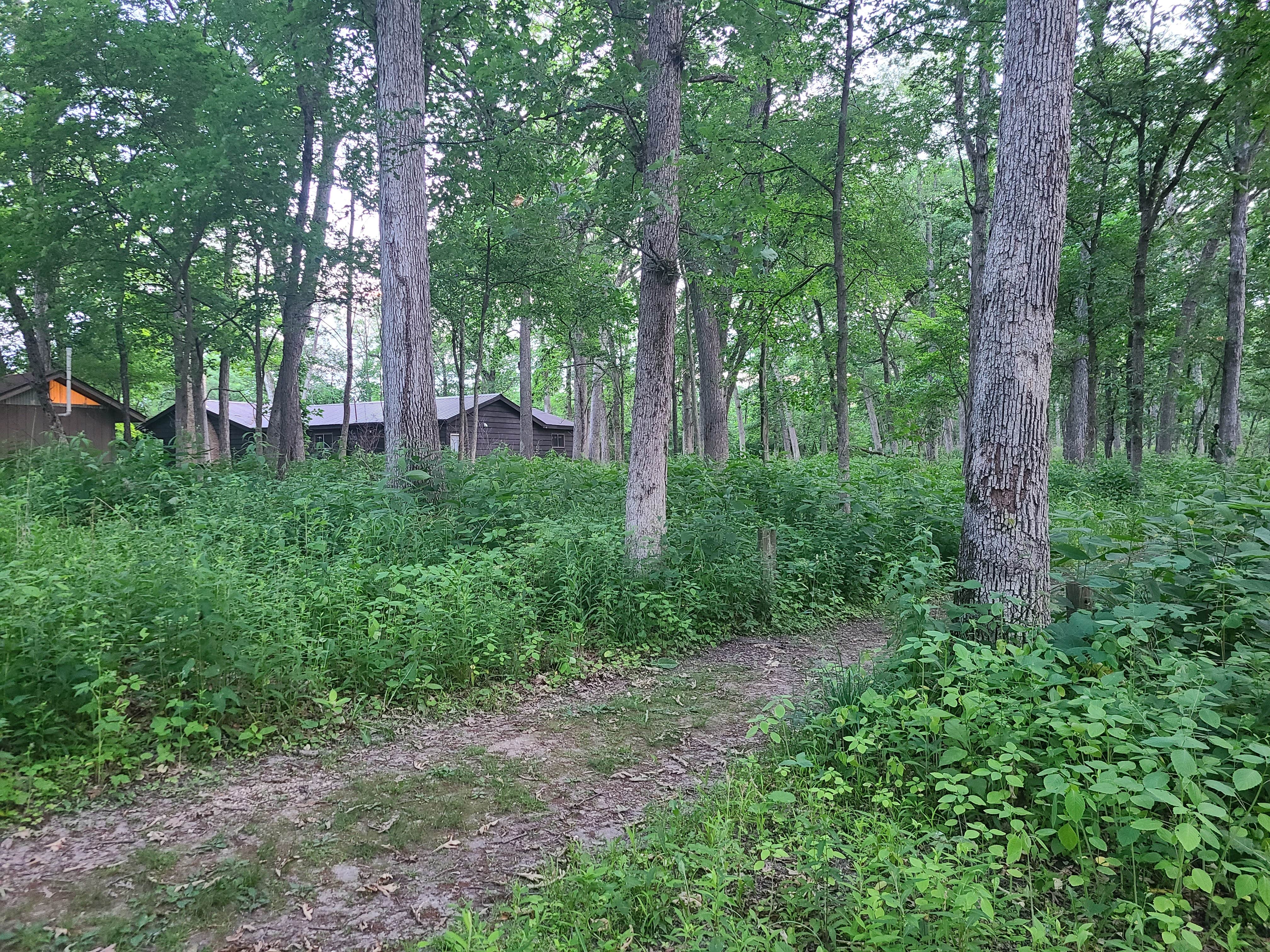 Camper submitted image from MacQueen Forest Preserve - 3