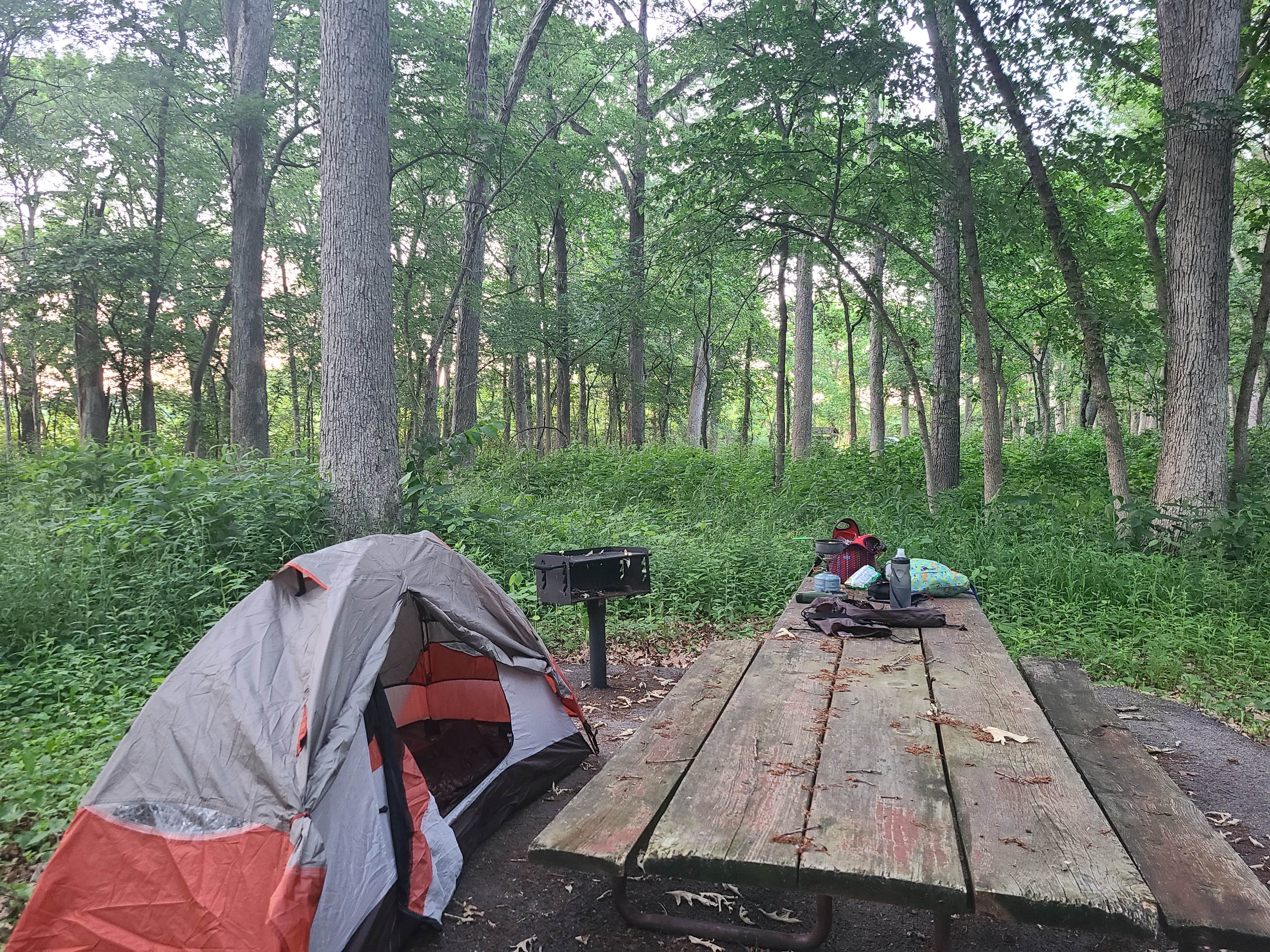 Amy G.'s photo of tent camping at MacQueen Forest Preserve near Rochelle, IL