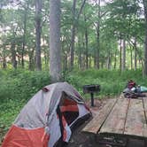 Review photo of MacQueen Forest Preserve by Amy G., June 15, 2021