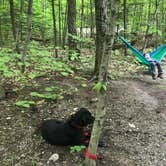 Review photo of Hancock Campground by Monica S., June 9, 2018