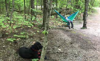 Monica S.'s photo at Hancock Campground near North Woodstock, NH