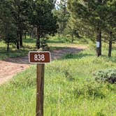 Review photo of Utah Forest Road 13 Dispersed Camping by Tom E., June 15, 2021