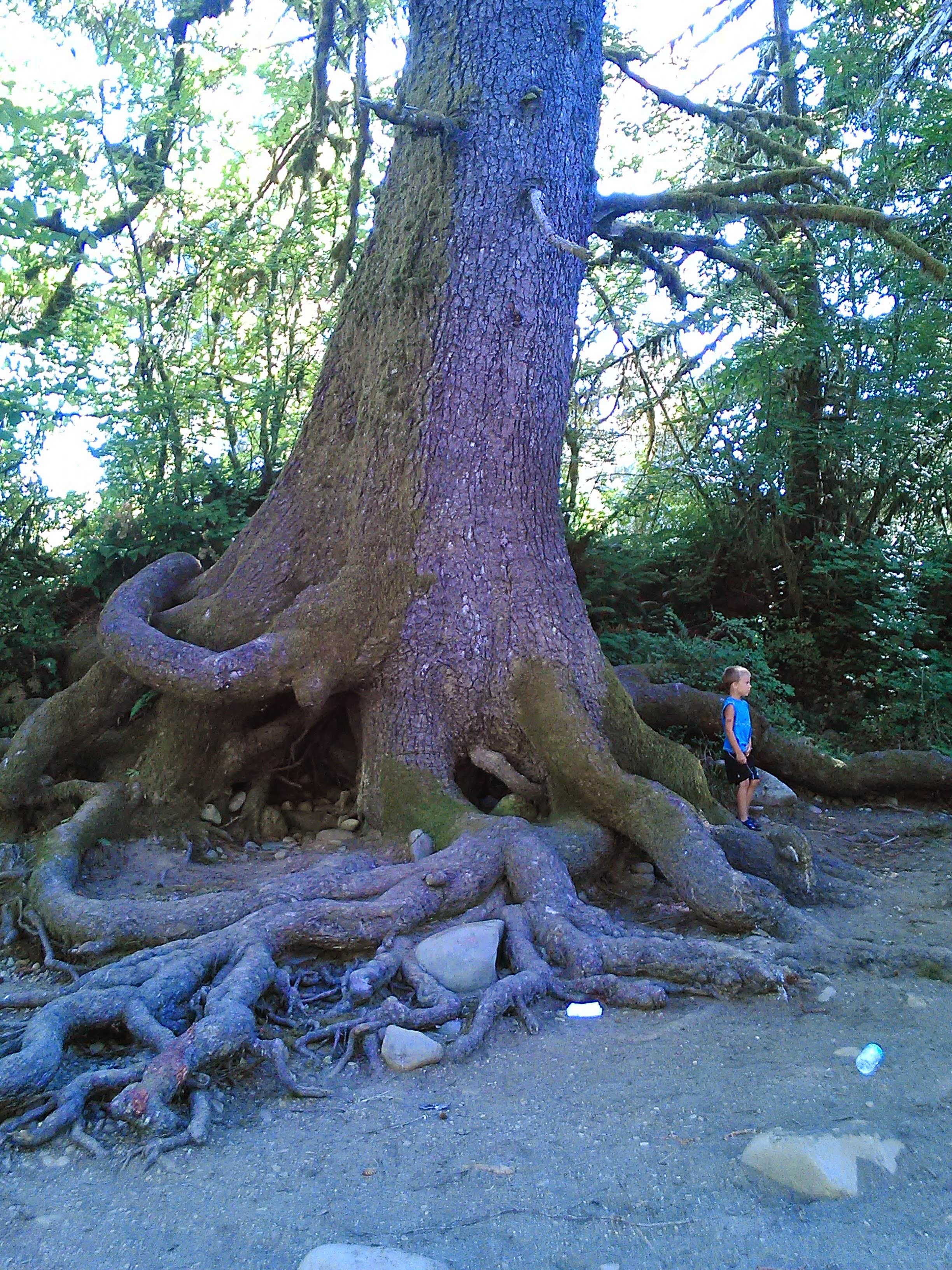 Moonshine Park The Dyrt