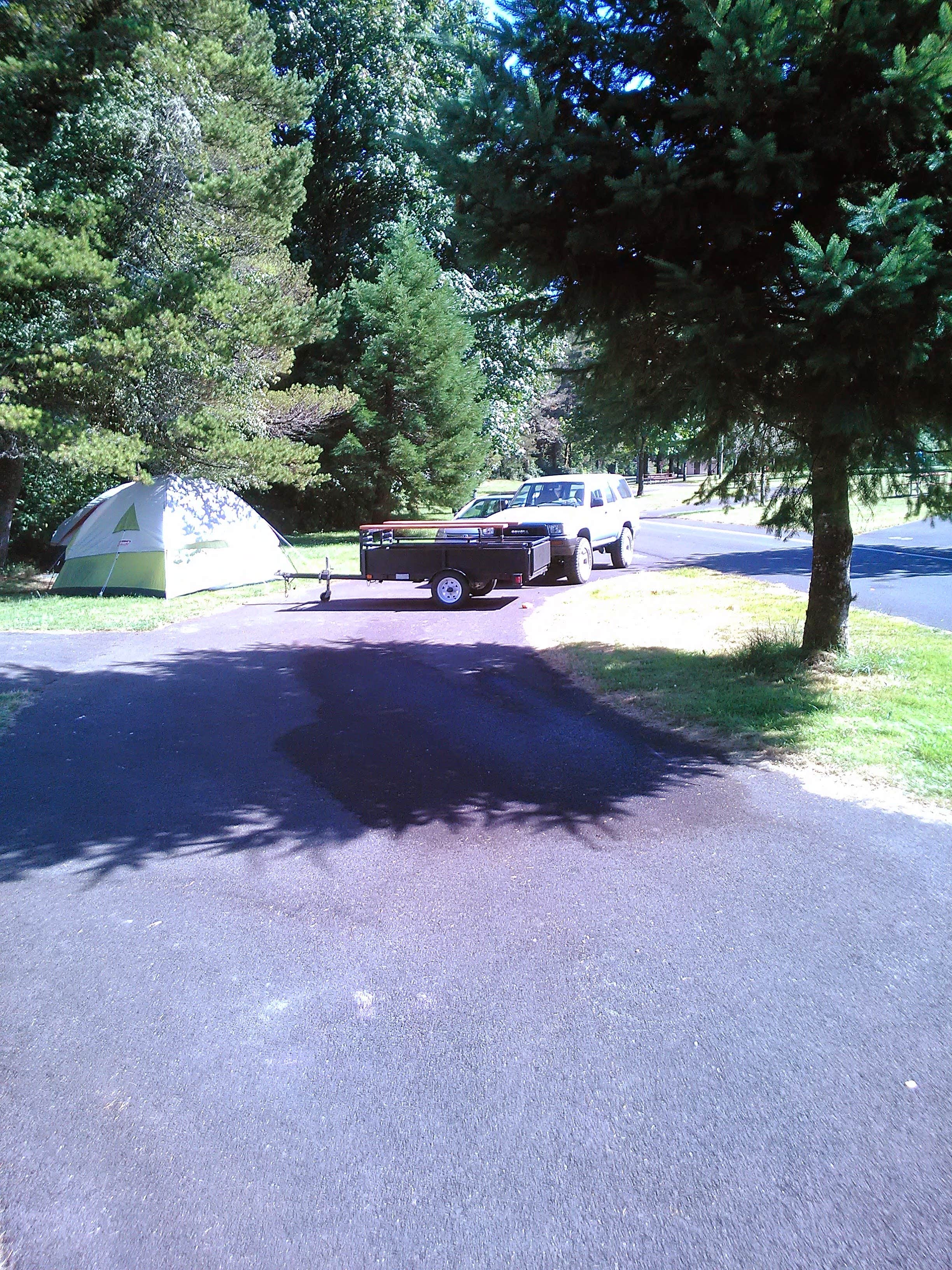 Camper submitted image from Moonshine Park - 4