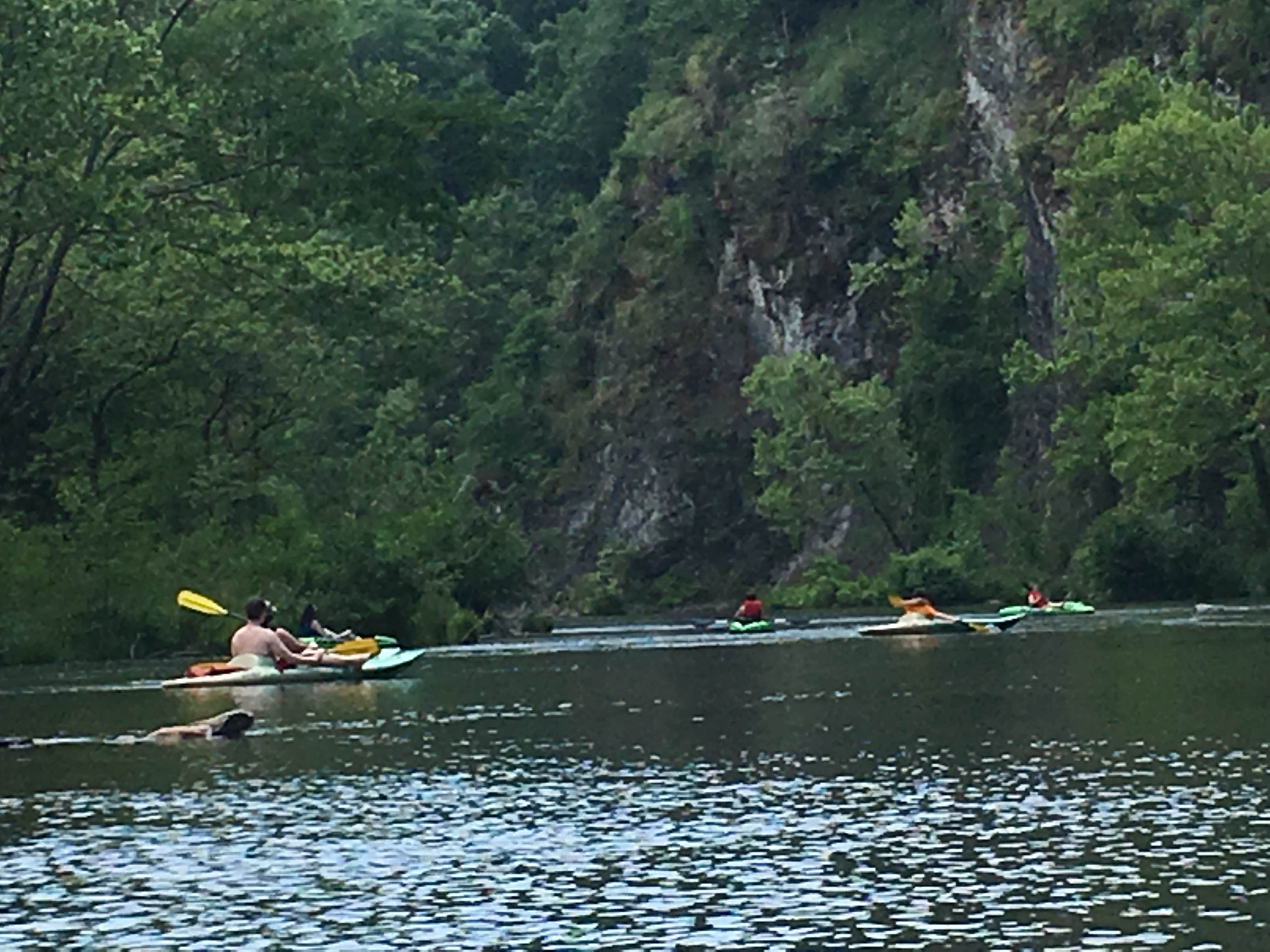 Camper-submitted photo at Beavers Bend State Park Campground in Oklahoma