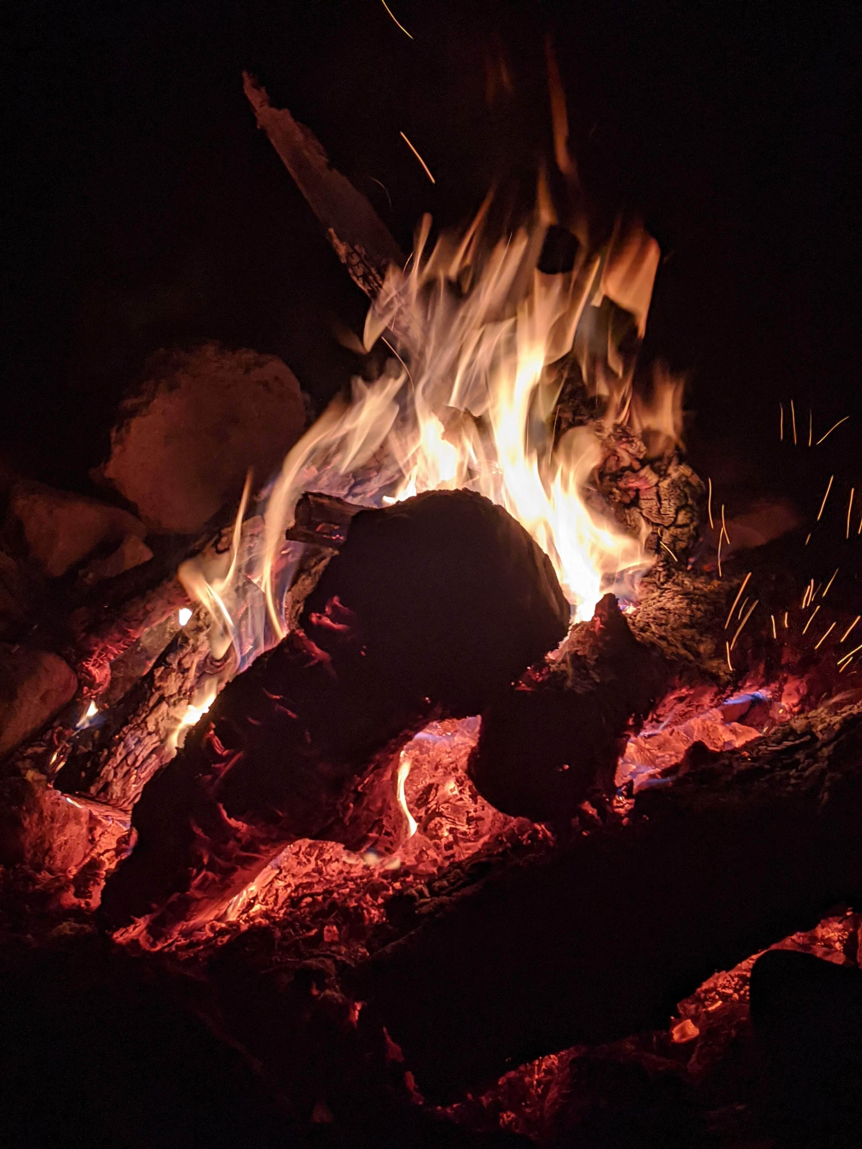 Camper submitted image from Mount Hood National Forest Clear Lake Campground - 1