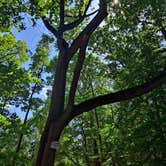 Review photo of Thousand Trails Bear Cave by Jerry  S., June 15, 2021