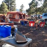 Review photo of Williams-Circle Pines KOA by Sara N., June 9, 2018