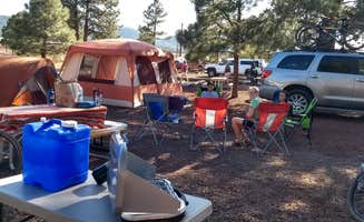 Sara N.'s photo at Williams-Circle Pines KOA near Parks, AZ