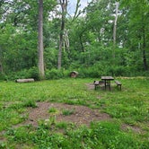 Review photo of MacQueen Forest Preserve by Amy G., June 15, 2021