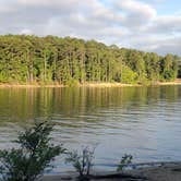 Review photo of County Line - Kerr Lake SRA by Stacey G., June 15, 2021