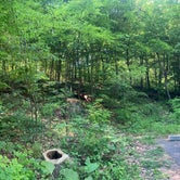 Review photo of Mathews Arm Campground — Shenandoah National Park by M J., June 15, 2021