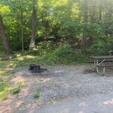 Review photo of Mathews Arm Campground — Shenandoah National Park by M J., June 15, 2021