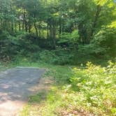 Review photo of Mathews Arm Campground — Shenandoah National Park by M J., June 15, 2021