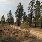 Review photo of Tom Best Spring Road FR117 Dispersed - Dixie National Forest by Jenn , June 15, 2021