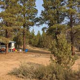 Review photo of Tom Best Spring Road FR117 Dispersed - Dixie National Forest by Jenn , June 15, 2021
