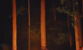 Sergey G.'s photo at J.C. Cooper Campground — Kerr Lake State Recreation Area near Henderson, NC