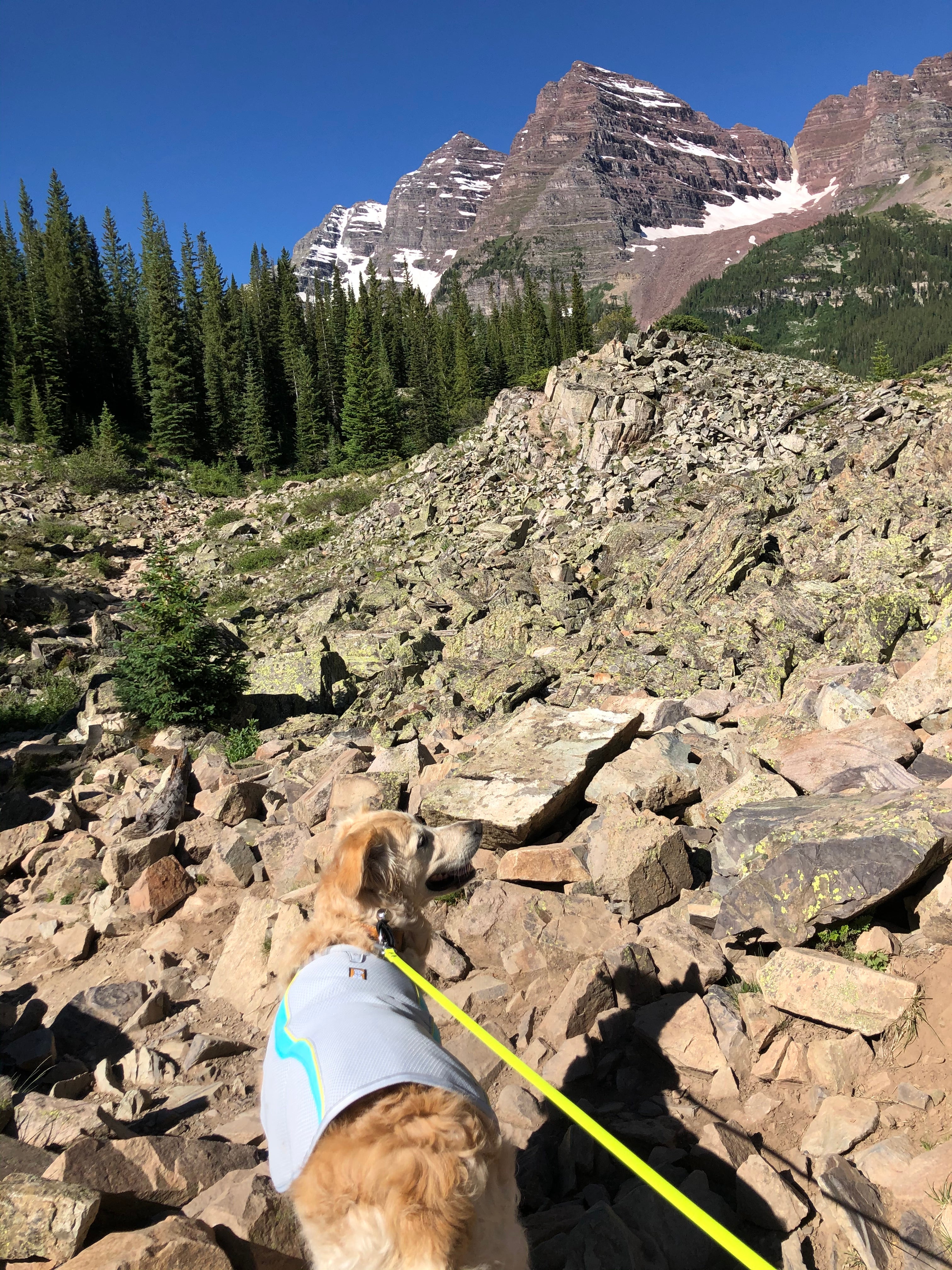 Camper submitted image from Maroon Bells-Snowmass Wilderness Dispersed Camping - 1