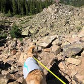 Review photo of Maroon Bells-Snowmass Wilderness Dispersed Camping by Marta S., June 15, 2021