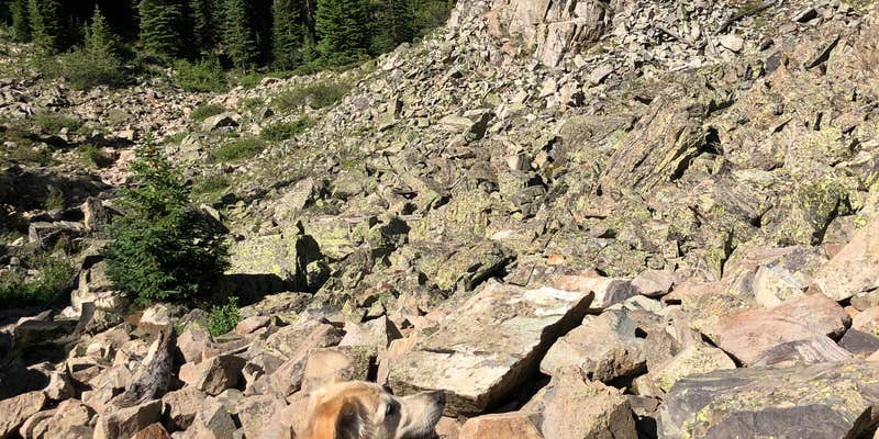 Maroon Bells-Snowmass Wilderness Dispersed Camping
