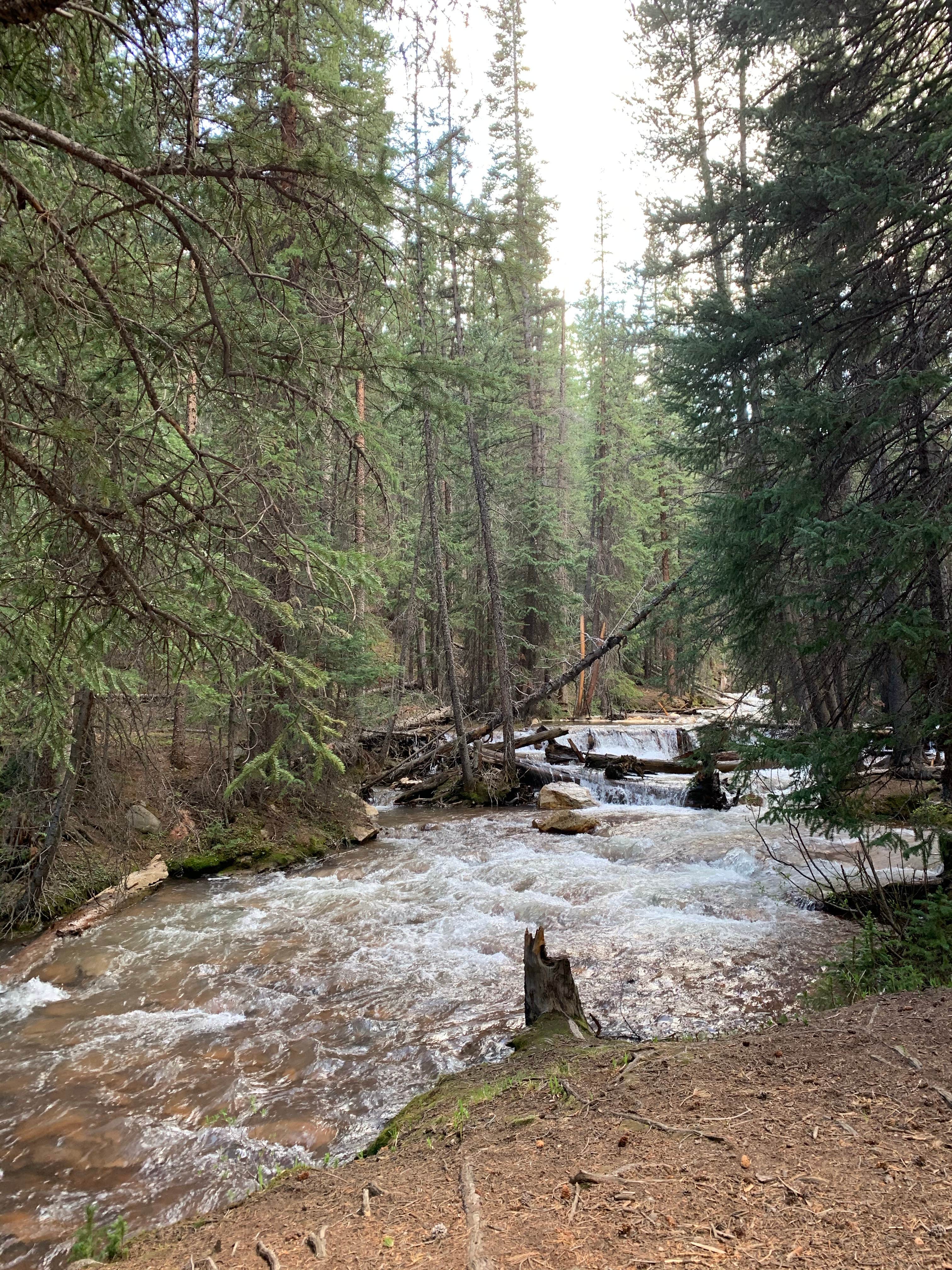 Camper submitted image from Hall Valley — Psicc - 5