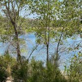 Review photo of James M. Robb Colorado River — Island Acres Section Camping by Eric G., June 15, 2021