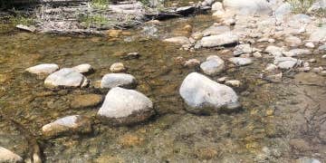 Camper submitted image from Camp Williams Resort