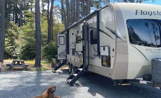 Tasha P.'s photo of rv camping at Pomo RV Park & Campground near Manchester, CA