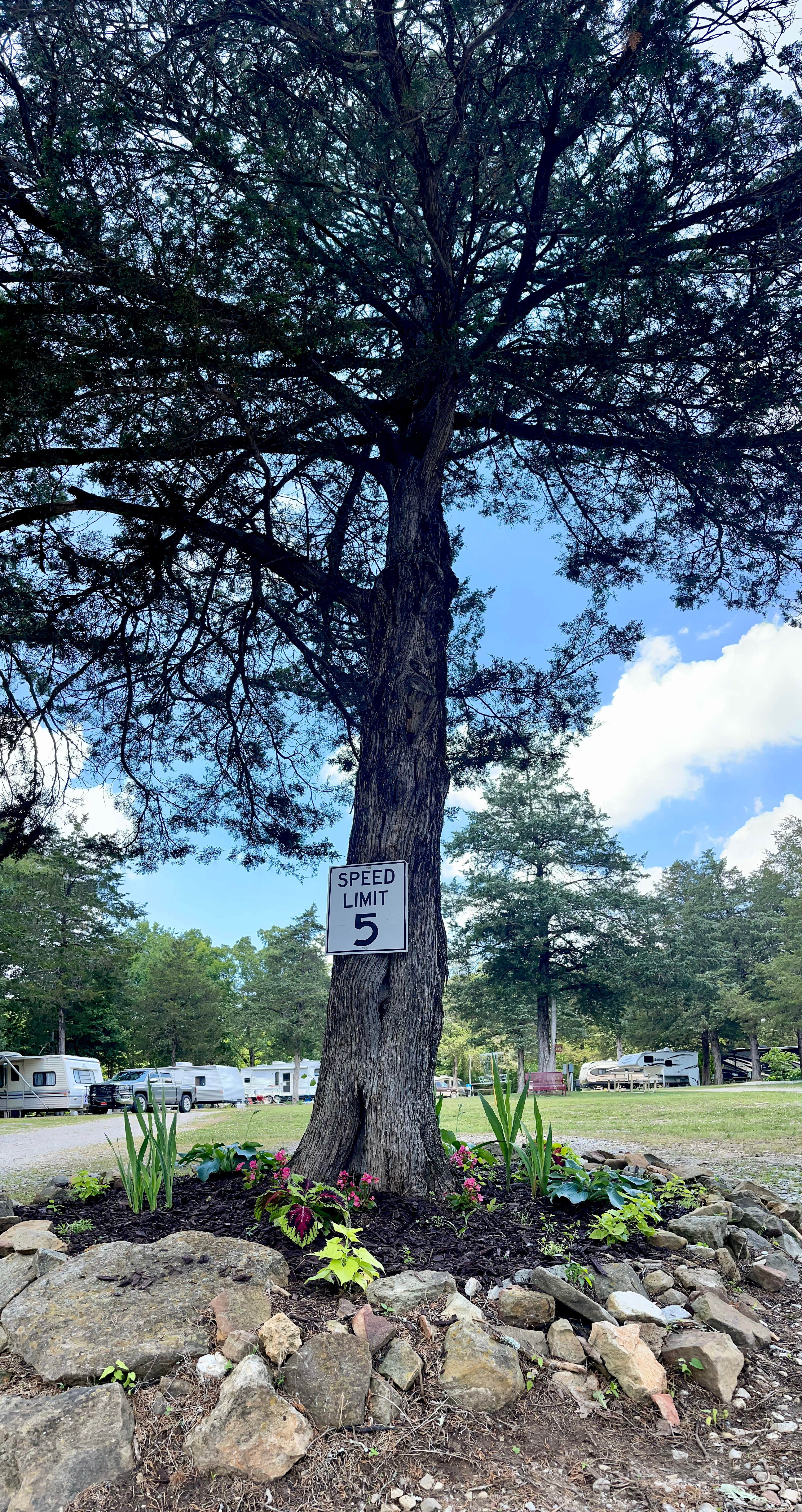 Camper-submitted photo at Whitewater RV Park near Fifty-Six, AR