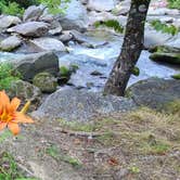 Review photo of Hickory Nut Falls Family Campground by Ioan P., June 15, 2021