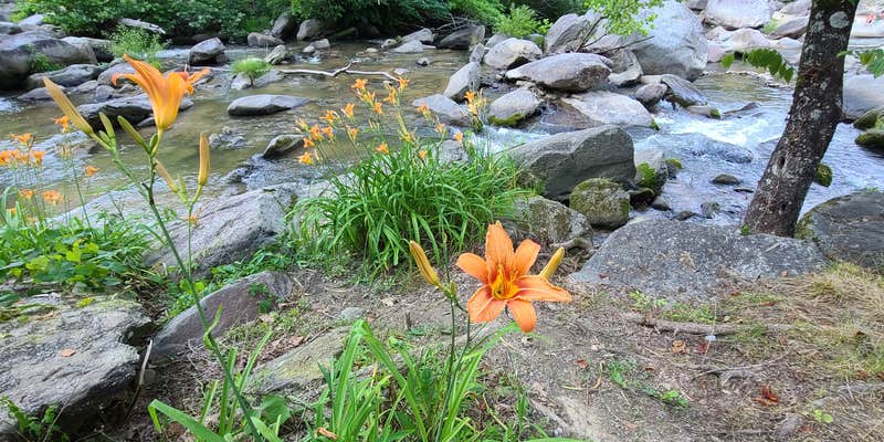Camper submitted image from Hickory Nut Falls Family Campground