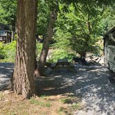 Review photo of Hickory Nut Falls Family Campground by Ioan P., June 15, 2021