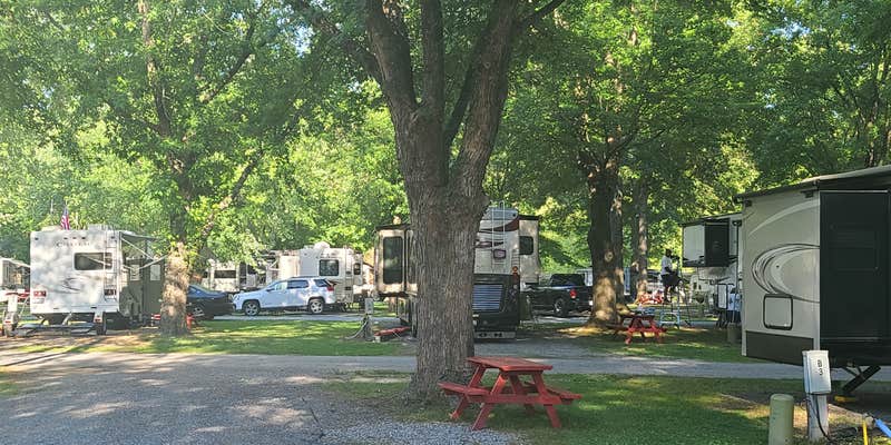Camper submitted image from Pride RV Resort