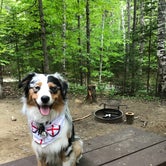 Review photo of Moose Brook State Park Campground by Josh R., June 10, 2018